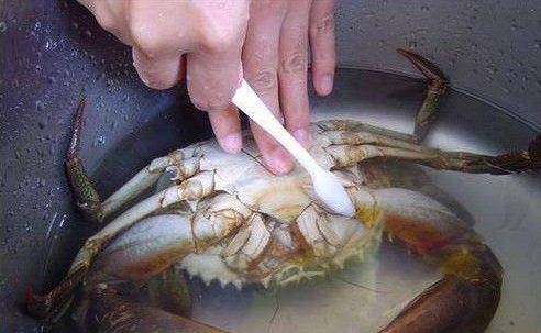 你知道怎么洗蟹最干净吗