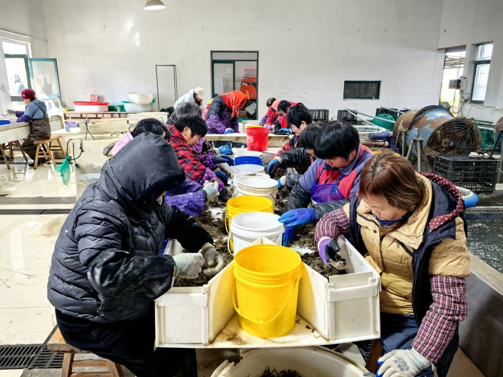 苏州市阳澄湖大闸蟹行业协会             简 讯（2026 第三期）